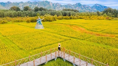 北京休闲运动排名前十(现在北京户外可以玩的地方)插图1