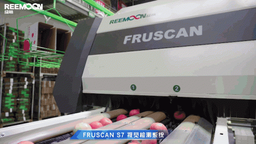 自然搭档旗舰店(自然搭挡果标)插图5