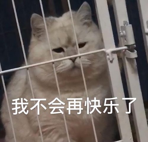 普通话考试最后一题(普通话考试最后一题评分标准)插图1