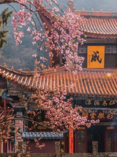 华坪出名餐馆排名前十(华坪美食介绍)插图