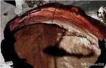 世界灵异事件(全球公认第一凶宅)插图6