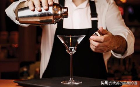 伏特加品牌(伏特加一哥戴钢盔翻车现场)