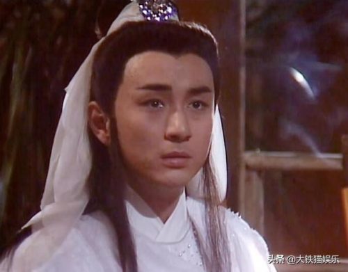 武侠明星(中国50位武打明星)插图26