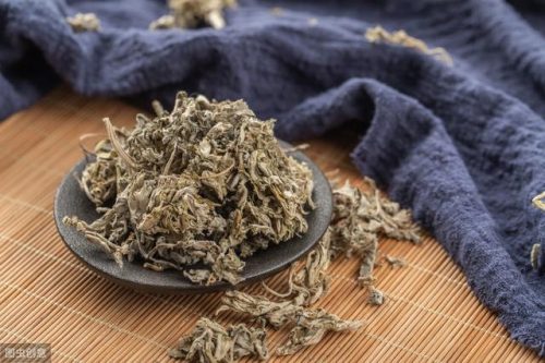 艾草图片(艾草和艾蒿怎么分辨)插图4
