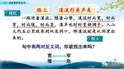 鹃组词组(娟组词语)插图46