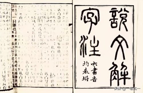 血的两个读音怎么区分(流血xie还是xue)插图5