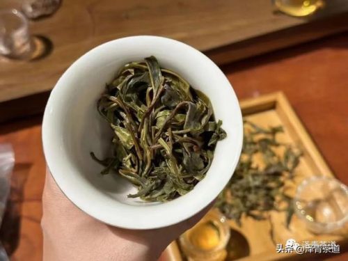 常用茶道排名前十(十大茶叶)插图46