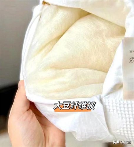 纯棉棉被(好看的棉被图片)插图