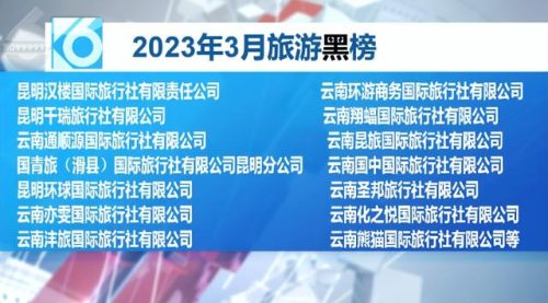 云南省昆明国际旅行社(云南口碑最好的旅行社)插图6