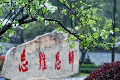 望城区中学排名前十(南康中学全国排名)插图1