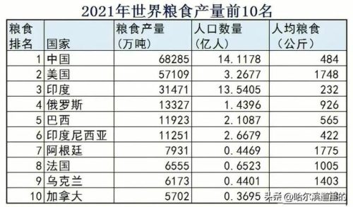 哈尔滨小麦产量排名前十(安宁38小麦种产量有多少)插图1