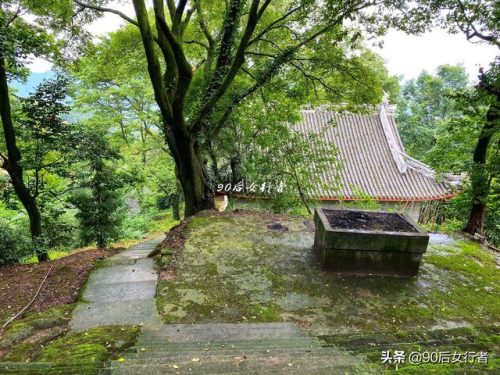 蒲江寺庙人气排名前十(大邑十大寺庙排名)插图26