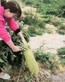 伤心流泪的图片大全(人心凉了配图)插图40