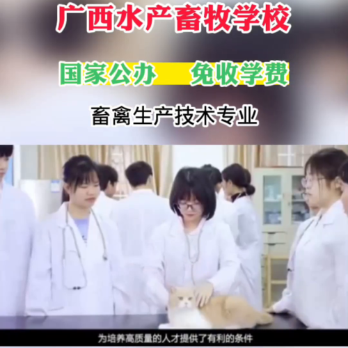 南宁宠物学校排名前十(南宁宠物诊所排名)插图1
