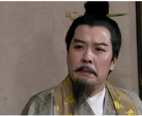刘备摔阿斗(新三国刘备扔阿斗)插图2
