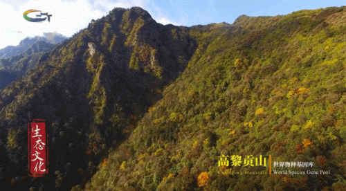 高黎贡山旅游(高黎贡小镇简介)插图
