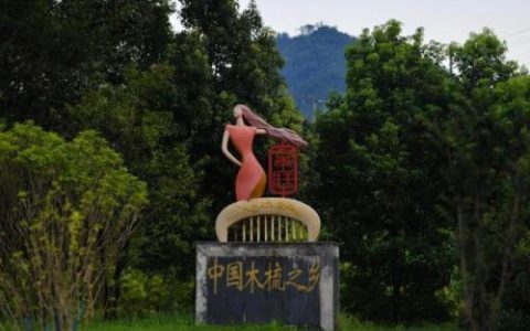 塑料木梳厂家排名前十(中国哪里木梳最有名)