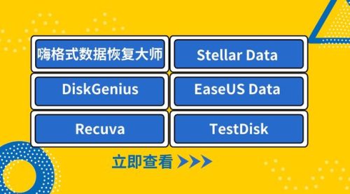 数据恢复公司(成都飞科数据恢复中心口碑怎么样)插图