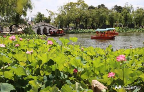 云南好玩地方排名前十(云南康养基地十大排名)插图12