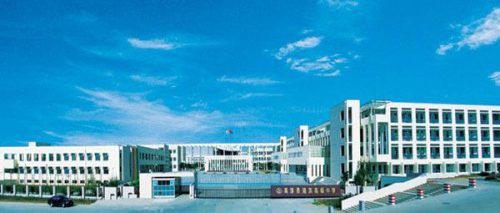 南京高中公立排名前十(南京高中排名和分数线)插图9