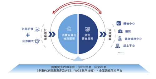 美国算命公司排名前十(西方有算命吗)插图12