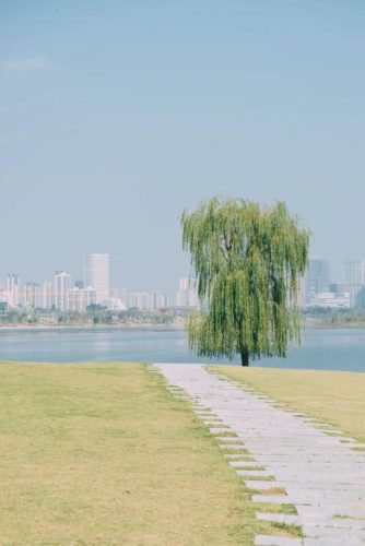 成都适合拍照的地方(成都拍照圣地)插图36