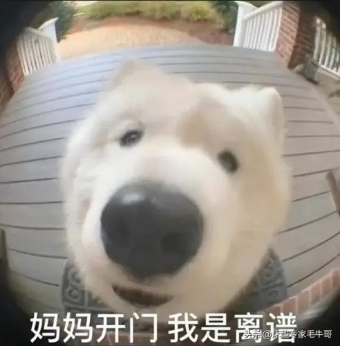 英国月经床垫排名前十(美国床垫十大排行)插图18