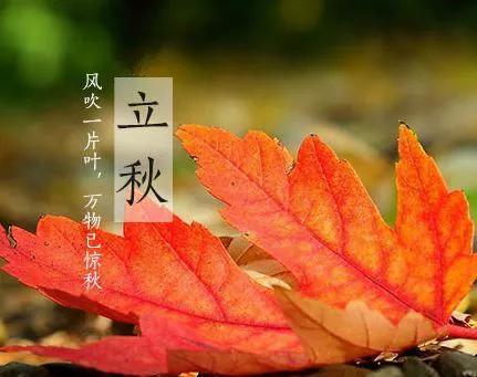 立秋图片大全高清(一叶知秋图片)插图71