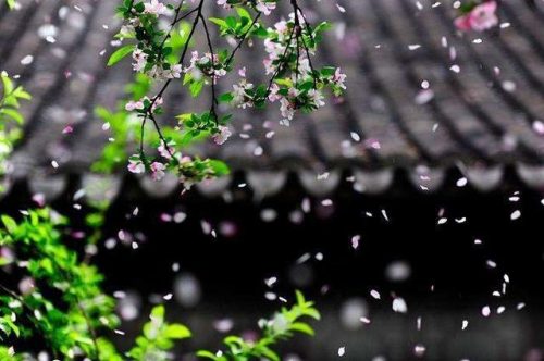 趁的笔顺(笔顺规则口诀)插图3