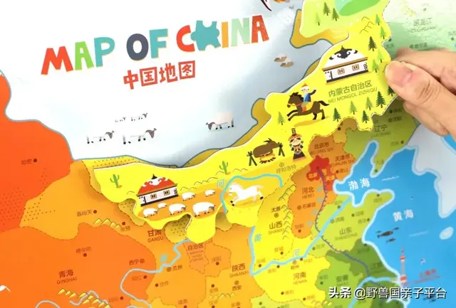 拼图最强品牌排名前十(最强大脑14巧板拼图法)插图36