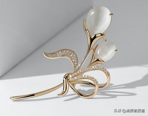 送妈妈什么礼物最贴心(妈妈50-60岁礼物)插图14