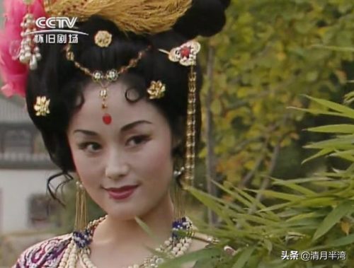 芙蓉如面柳如眉(芙蓉不及美人妆,水殿风来珠翠香)插图19