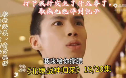 雷战神电视剧全集(雪豹电视剧)
