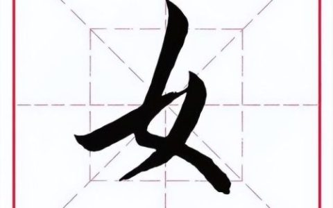 臂的笔顺(臂的笔画数和部首)