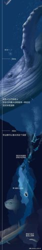 深海鱼类(十大有营养深海鱼)插图4
