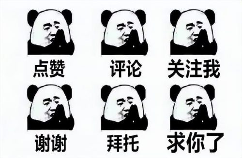 波尔山羊养殖排名前十(10只波尔山羊一年利润)插图3