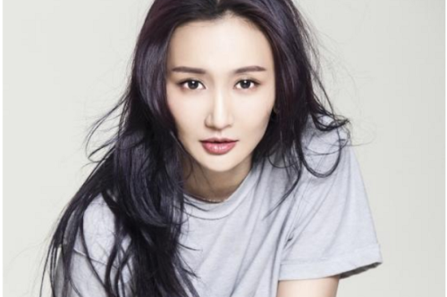 李晨的老婆(李晨有女朋友吗)插图6