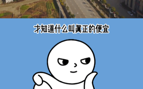 女装款式产地排名前十(莱茨羽绒服女装图片及价格)