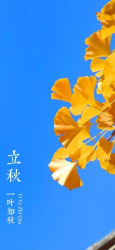 立秋图片大全高清(一叶知秋图片)插图34