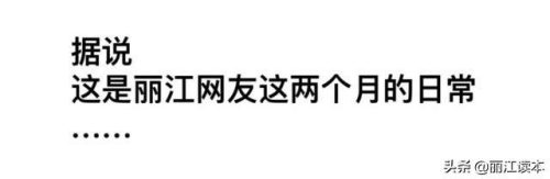 丽江网咖排名前十(成都网咖排行)插图