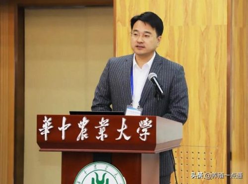 黄鳝养殖专家排名前十(黄鳝人工养殖前景好不好)插图1