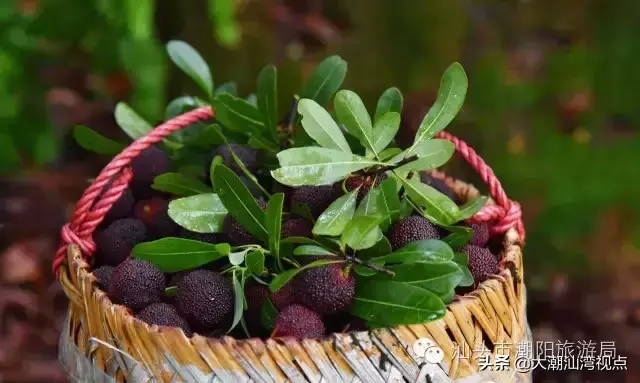潮阳老牌小吃排名前十(潮阳棉城美食地点)插图5