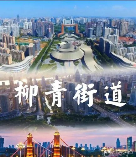 兰山校区排名前十(兰山教体局最新消息)插图3