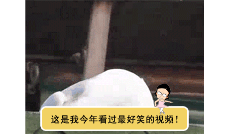 粉木耳什么意思(粉_木耳)插图20