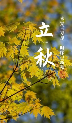 立秋图片大全高清(一叶知秋图片)插图48