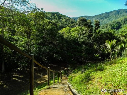 绍兴避暑村庄排名前十(绍兴乡村旅游景点)插图7