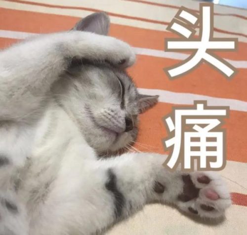 我和x先生第二季(我和x 先生第三季第1集)插图2