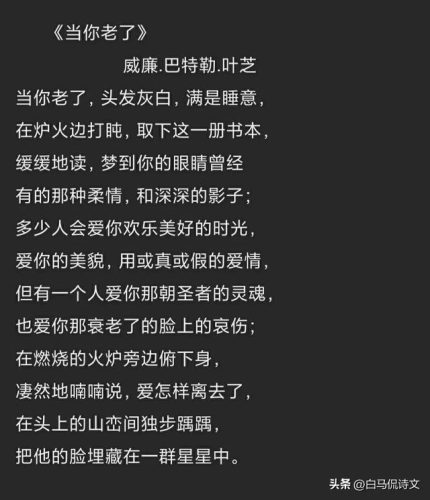说到爱歌词(说到爱蔡健雅原版)插图7