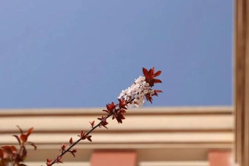 望城区中学排名前十(南康中学全国排名)插图11