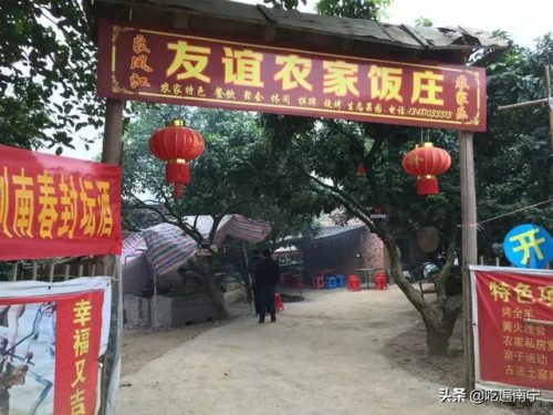 南宁好看农庄排名前十(南宁四塘学雍自然农庄)插图14